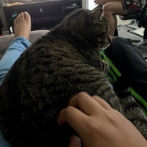 Meet your Posher, Arthur